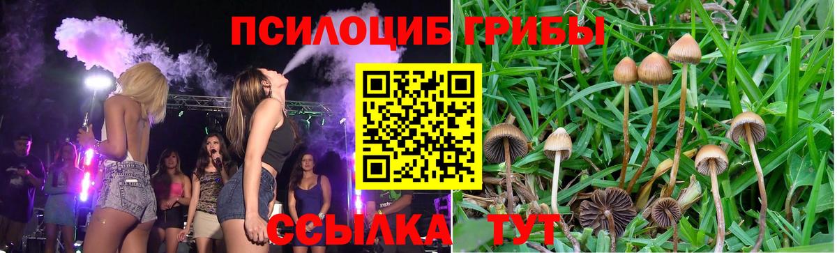 Назрань  Псилоцибиновые грибы Cubensis  Вход с VPN  Галлюциногенные грибы мицелий 